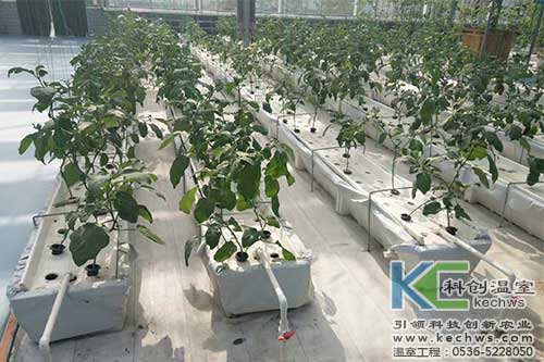 pH/ORP測(cè)量?jī)x